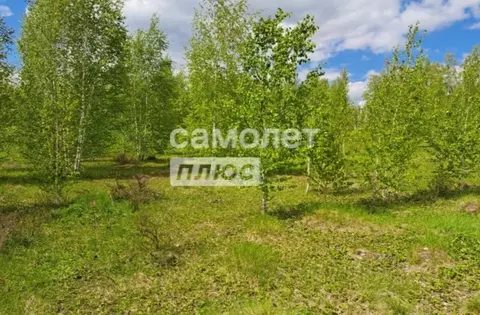 Участок в Челябинская область, Сосновский муниципальный округ, д. ...