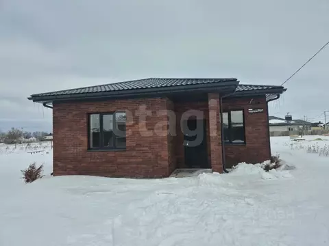 Дом в Воронежская область, с. Новая Усмань ул. Менделеева, 93 (117 м)