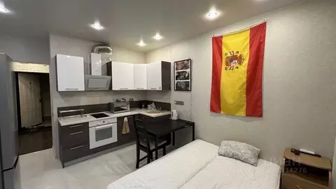 Студия Санкт-Петербург просп. Маршала Блюхера, 7к1 (22.3 м)