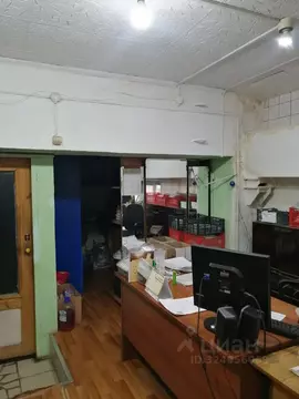 Помещение свободного назначения в Хакасия, Абакан просп. Дружбы ...