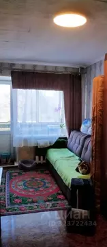 Студия Кемеровская область, Новокузнецк ул. Тореза, 49 (19.7 м)