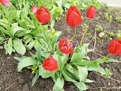 Участок в Ростовская область, Ростов-на-Дону 3-й Прибрежный пер. (3.0 ...