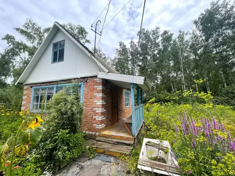 Дом в Омская область, Омск СОСН Юбилейный тер., аллея 1-я (30 м)