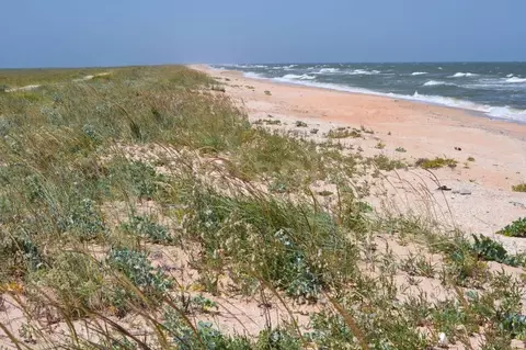 Участок в Крым, Ленинский район, Семисотское с/пос, Арабатская Стрелка ...