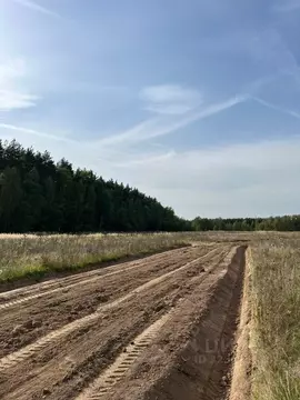 Участок в Московская область, Раменский муниципальный округ, Опушкино ...