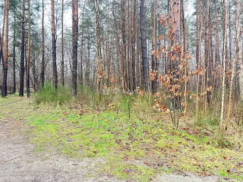 Дом в Калининградская область, Калининград Красивая ул., 6 (167 м)