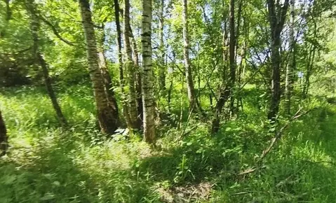 Участок в Московская область, Шатура муниципальный округ, д. Тюшино  ...