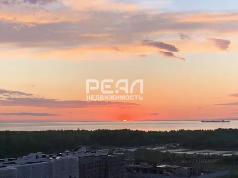 Студия Санкт-Петербург ул. Адмирала Трибуца, 5 (24.2 м)