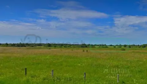 Участок в Калининградская область, Гурьевский муниципальный округ, ...