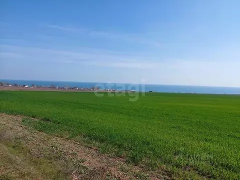 Участок в Крым, Ленинский район, Челядиновское с/пос, с. Челядиново ...