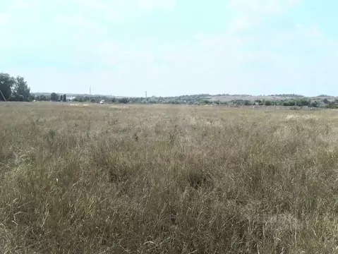 Участок в Воронежская область, Хохольский район, с. Гремячье Садовая ...