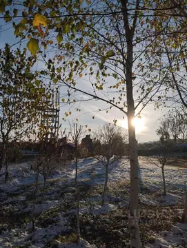 Участок в Алтайский край, Белокуриха Советская ул., 92 (359.0 сот.)