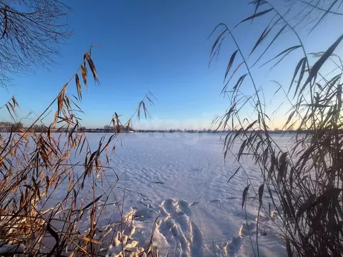 Участок в Курская область, Курский район, Моковский сельсовет, д. ...