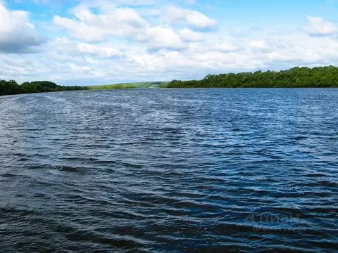 Участок в Тульская область, Ясногорский район, Иваньковское с/пос, д. ...