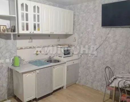 1-к кв. Новосибирская область, Новосибирск ул. Одоевского, 1/2 (17.1 ...