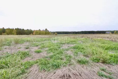 Участок в Тюменская область, Тюменский муниципальный округ, д. ...