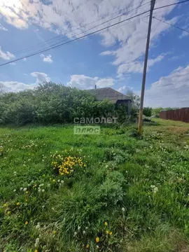 Участок в Воронежская область, Каширский район, Мосальское с/пос, с. ...