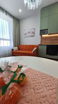 Студия Москва ул. Академика Волгина, 2 (30.0 м)