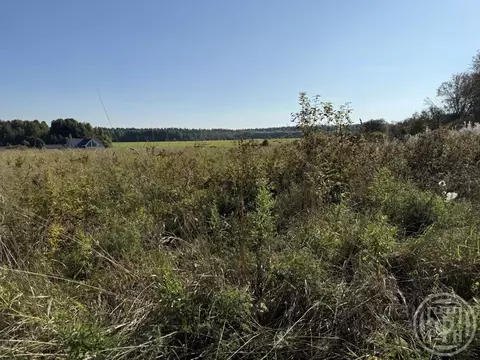 Участок в Ленинградская область, Выборгский район, Красносельское ...