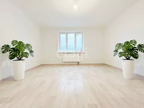 3-к кв. Санкт-Петербург Ленинский просп., 68 (75.0 м)