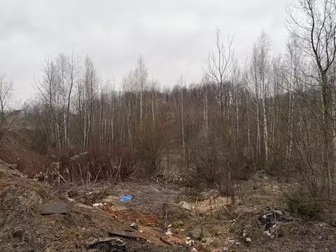 Участок в Московская область, Пушкинский городской округ, Софрино пгт  ...