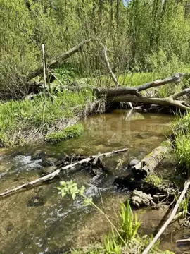 Участок в Московская область, Клин городской округ, Подсолнухи кп ул. ...