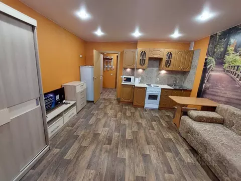 Студия Новосибирская область, Новосибирск ул. Королева, 10/1 (26.0 м)