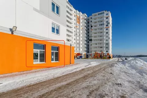 Помещение свободного назначения в Санкт-Петербург пос. Шушары, ...