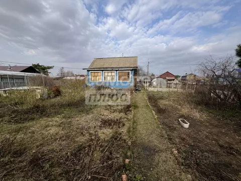 Дом в Омская область, Омск СОСН Сибирский садовод-1 тер., аллея 17-я ...
