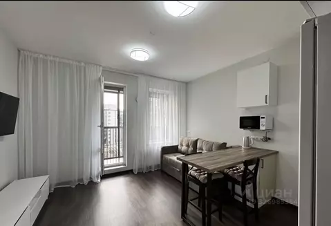 Студия Санкт-Петербург Светлановский просп., 8 (24.3 м)