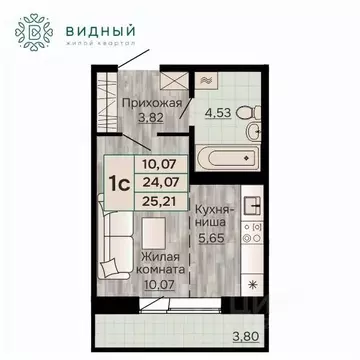 1-к кв. Пермский край, Пермь Кавказская ул., 13 (25.21 м)