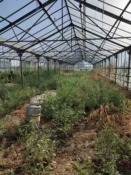 Производственное помещение в Адыгея, Красногвардейский район, ...