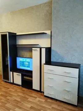 1-к кв. Санкт-Петербург пос. Парголово, ул. Михаила Дудина, 23к1 (42.8 ...