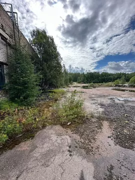 Производственное помещение в Ленинградская область, Выборг ул. ...