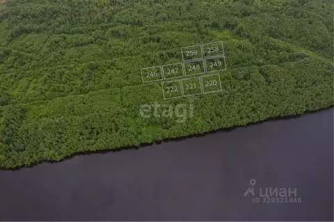 Участок в Вологодская область, Шекснинский муниципальный округ, ...