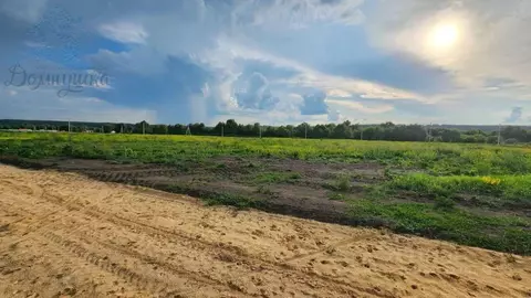 Участок в Воронежская область, Хохольский район, Новогремяченское ...