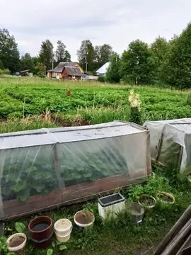 Дом в Ленинградская область, Гатчинский муниципальный округ, Дружная ...