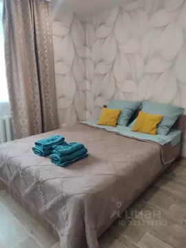 1-к кв. Бурятия, Улан-Удэ Загорск мкр, ул. Родины, 11 (30.5 м)