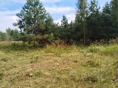 Участок в Владимирская область, Камешковский муниципальный округ, д. ...