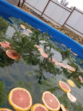 Дом в Волгоградская область, Волгоград Шатурская ул., 67/167 (50 м)