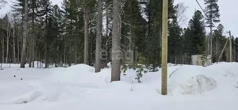 Участок в Ханты-Мансийский АО, Ханты-Мансийск  (6.0 сот.)