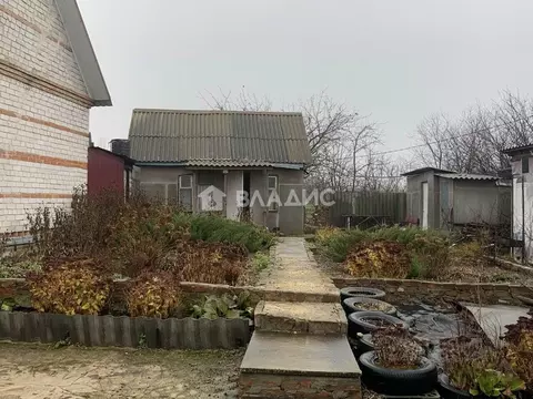 Дом в Воронежская область, Новоусманский район, Орловское с/пос, с. ...