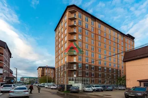 Студия Краснодарский край, Краснодар пос. Российский, ул. Бигдая, 8 ...