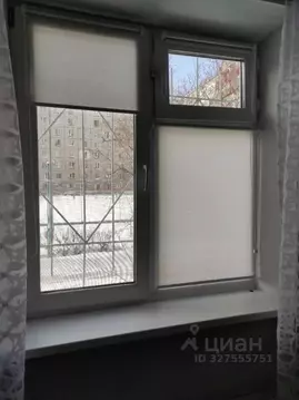 Студия Башкортостан, Уфа ул. Ферина, 1/3 (17.0 м)