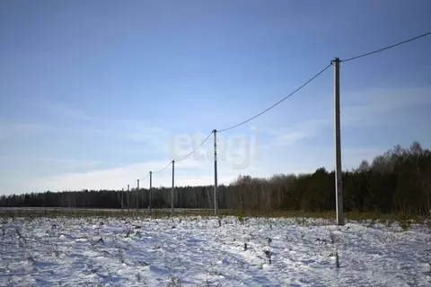 Участок в Тюменская область, Тюменский муниципальный округ, с. Кулига, ...