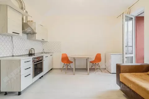 Студия Санкт-Петербург ул. Орбитальная, 7к1 (24.6 м)