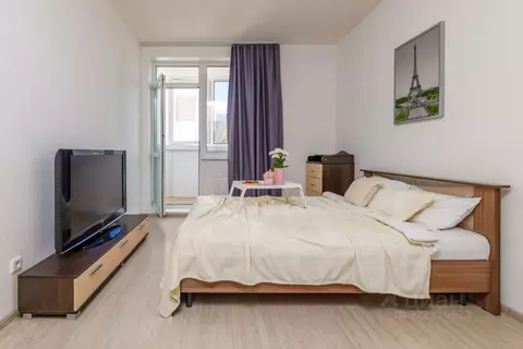 Студия Свердловская область, Екатеринбург ул. Щорса, 60Б (40.0 м)