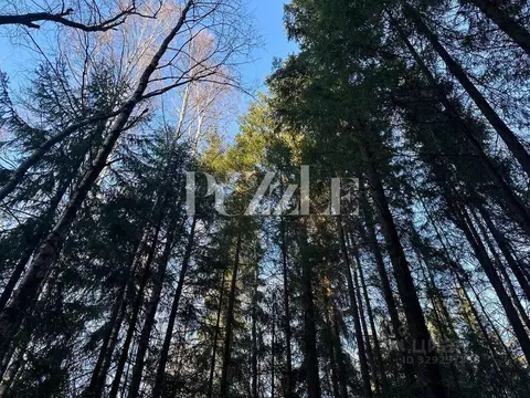 Участок в Ленинградская область, Выборгский район, Первомайское с/пос, ...
