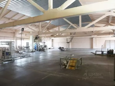 Производственное помещение в Алтайский край, Барнаул Восточный мкр, ...