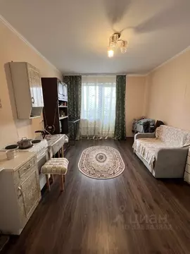 Студия Московская область, Шатура ул. Радченко, 12 (26.0 м)